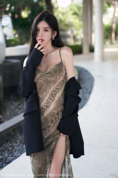 老子是安纳金小说