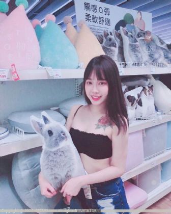 禽兽小说